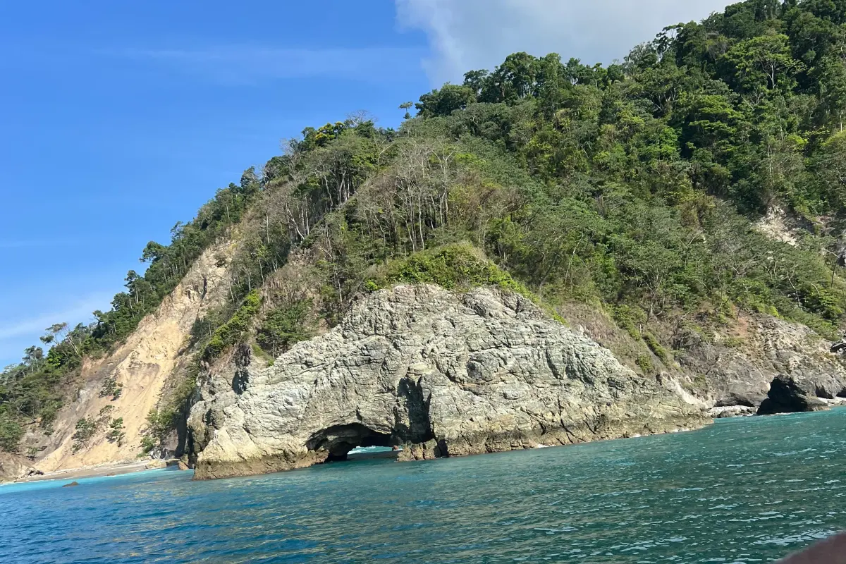 River and Dolphin Tour - Image 4