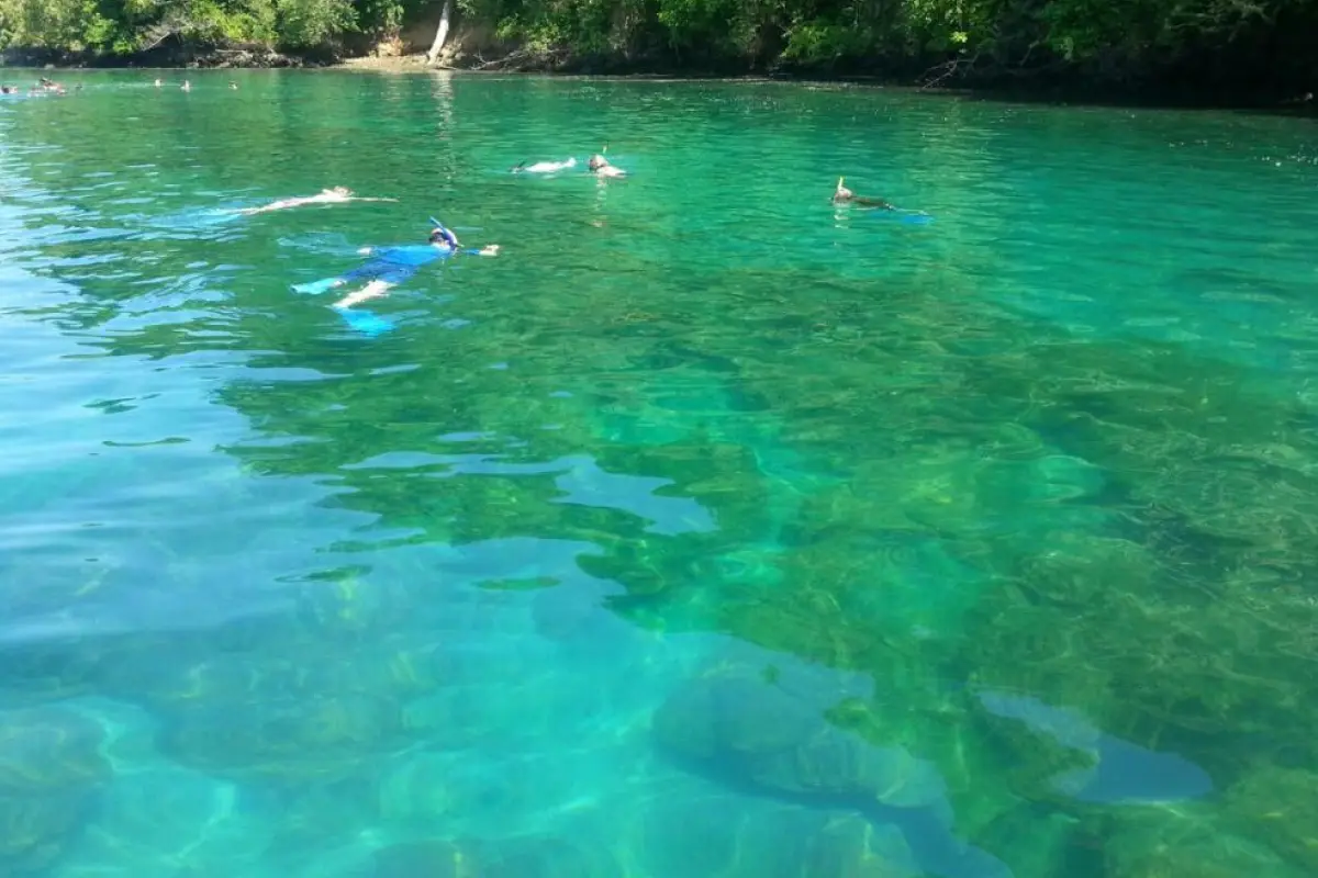 Snorkeling y Tour de Delfines - Image 5
