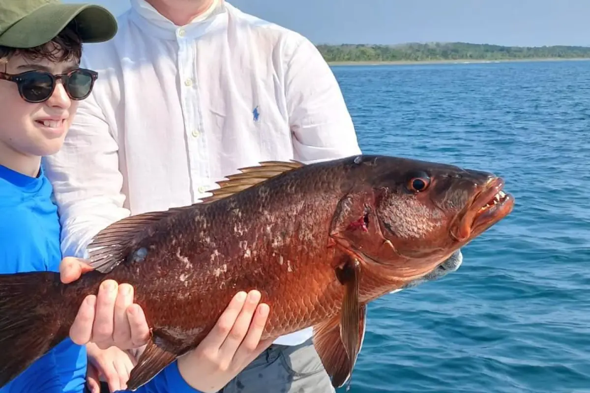 Sport Fishing Half Day Tour - Image 1