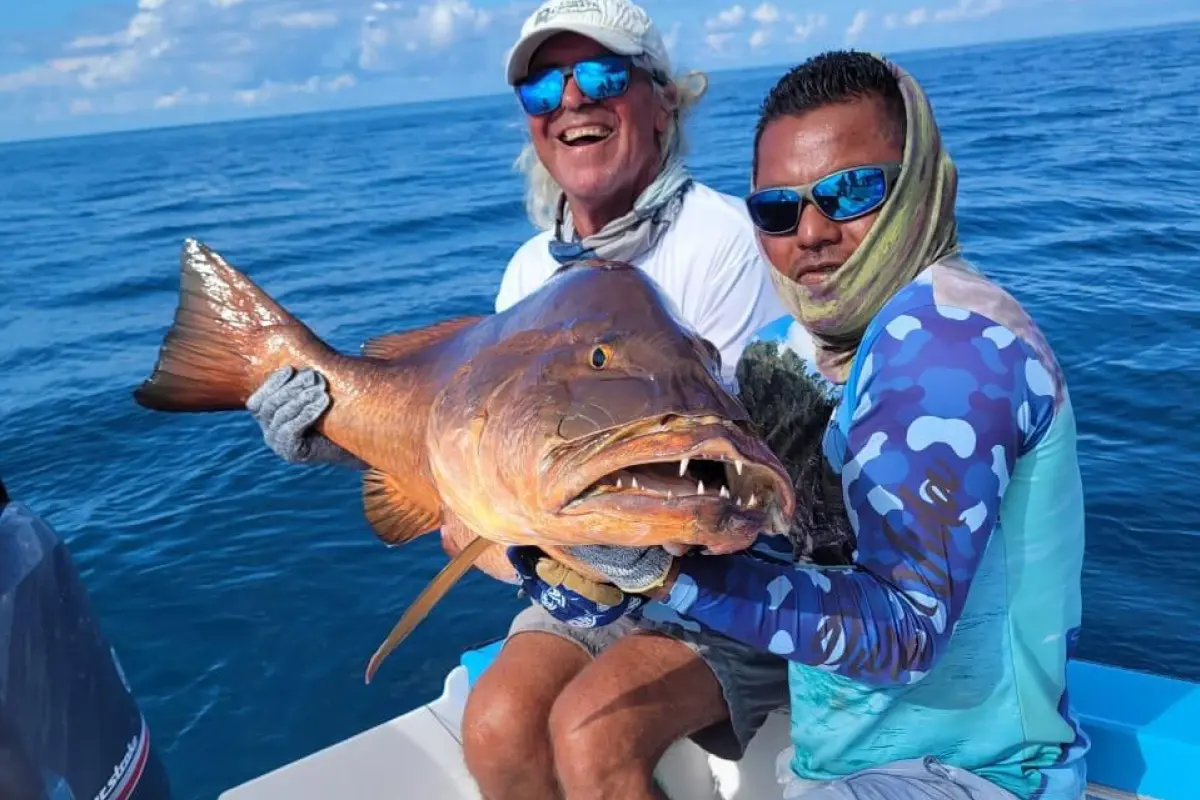 Sport Fishing Half Day Tour - Image 5