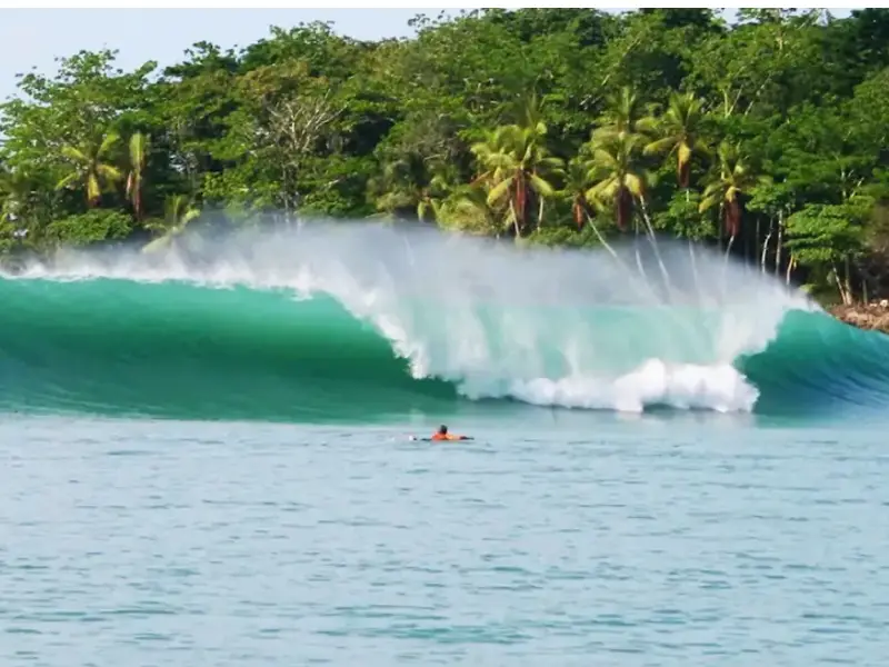 Surfing tour in the Osa Peninsula
