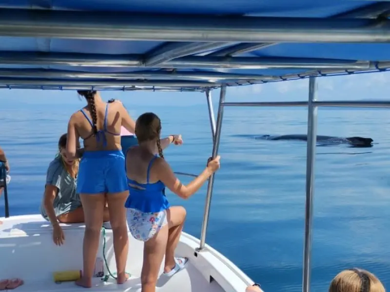 Whale Watching Tour in the Osa Peninsula